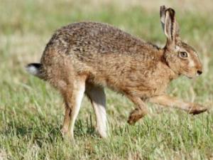 �������������� �W��Ұ���_(d��)��72����/С�r(sh��)