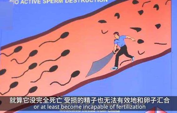 世界首款男性避孕針通過臨床實(shí)驗(yàn):一針管13年,成功率97.3%!
