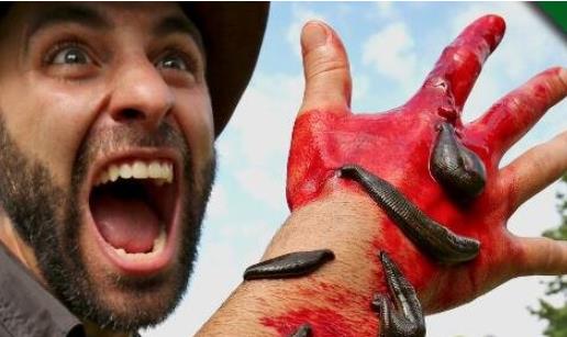 世界上最耐咬的男人 把自己的身體送給猛獸撕咬