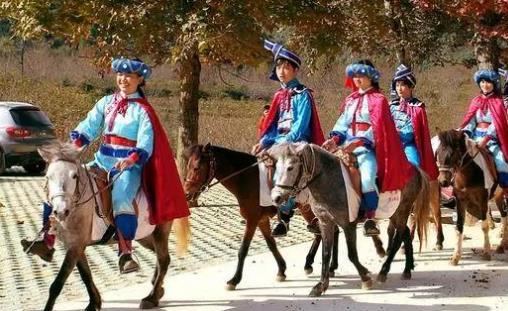 中國最矮的馬 廣西保德矮馬成熟體高為86—106厘米