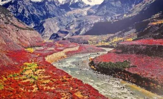 中國(guó)最大的峽谷 雅魯藏布大峽谷全長(zhǎng)504.6千米 最深處6009米