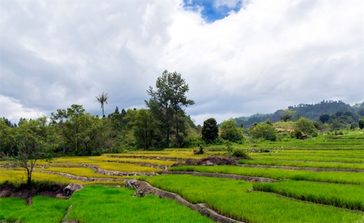 最大的湖中島 沙摩西島全島面積530平方公里