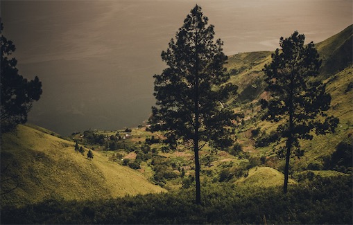 最大的湖中島 沙摩西島全島面積530平方公里