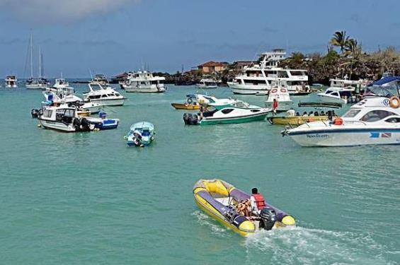 世界最受歡迎島嶼圣克魯斯島:人口密度世界第一 沒水沒電沒物資