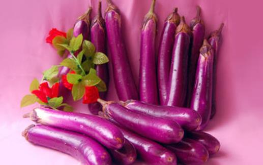 哪些人不宜吃茄子?茄子有哪些作用?