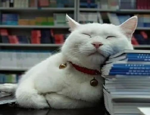 為什么下半夜醒了就睡不著了?入睡容易但老是早醒如何治療