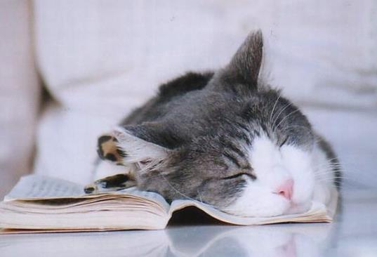 秒入睡的人身體是不是很好?晚上睡覺(jué)容易醒反復(fù)多次怎么改善