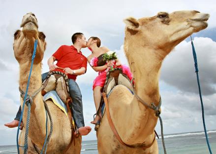 ���нY��ľ��w���̼�ע�����