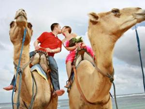 旅行結(jié)婚的具體流程及注意事項(xiàng)