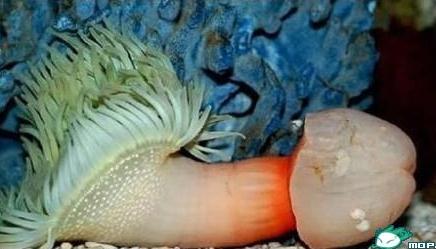 ���@���@��ʲô���������L��������ͣ����b��