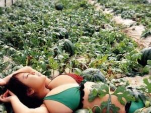比比誰種的西瓜大?大胸美女與西瓜的對比