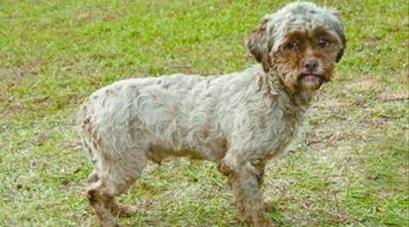 �������湷�����L���c����ƶ��߼t���؄e�����(�D)