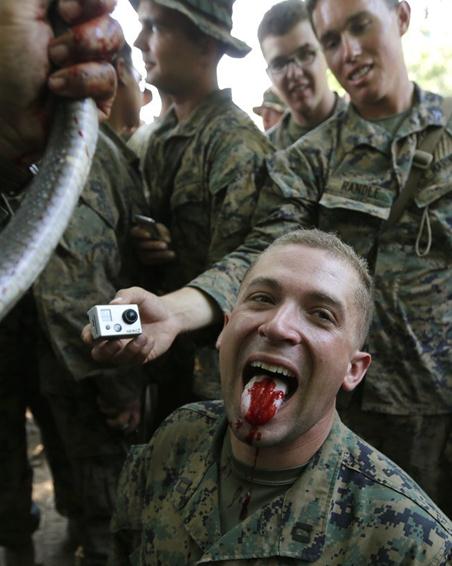 2013“金色眼鏡蛇”聯(lián)合軍演演習(xí),美軍士兵生吃眼鏡蛇血組圖