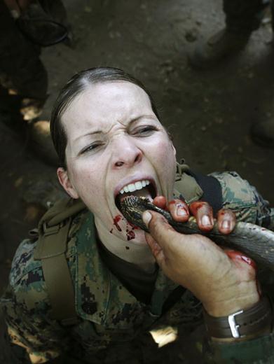 2013����ɫ���R�ߡ���܊����������܊ʿ����������Ӗ���������R��Ѫ�M�D