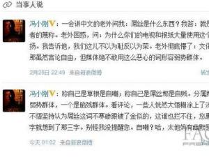 馮小剛炮轟屌絲群體是腦殘群體與網友開戰