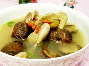 坐月子能吃鴿子嗎?坐月子可以吃鴿子嗎