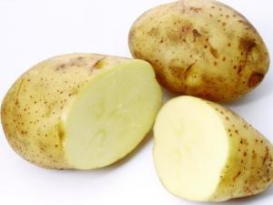 坐月子能吃土豆嗎?產(chǎn)婦能不能吃土豆