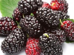 哺乳期能吃桑葚嗎?哺乳期吃桑葚有什么好處