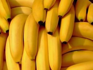 哺乳期能吃香蕉嗎?哺乳期吃香蕉有什么好處