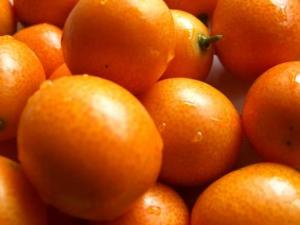 哺乳期能吃金桔嗎?哺乳期吃金桔的做法