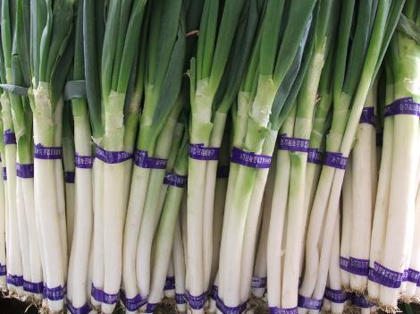 �a(ch��n)�D�ܳ��[�����a(ch��n)�D���[������