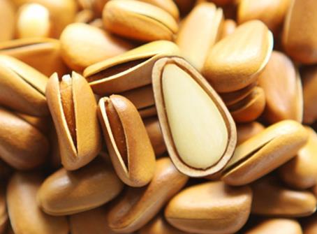 �������ܳ����ӆ᣿�����ڳ����ӵ�����