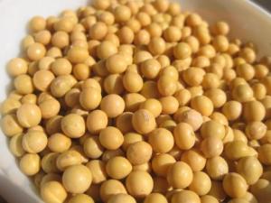 產婦能吃黃豆嗎?產婦吃黃豆的做法