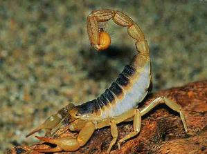 Ұ��Ы�����ļ��ȷ���