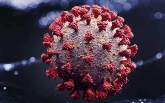 德爾塔病毒用什么消毒液 德爾塔病毒醫用酒精可以殺滅嗎