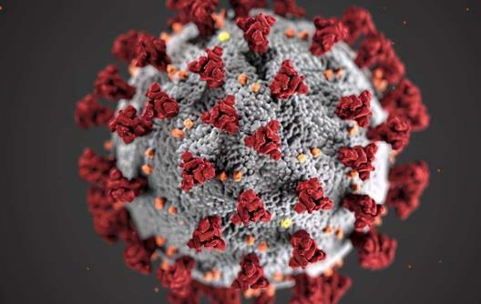 德爾塔病毒用什么消毒液 德爾塔病毒醫用酒精可以殺滅嗎