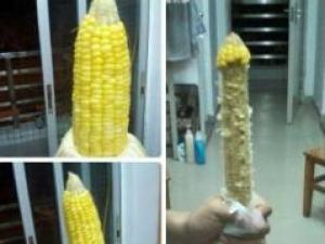繼黃瓜香蕉茄子之后~玉米也有內涵了,你懂的
