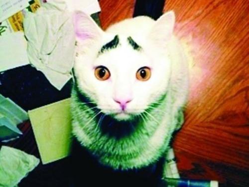 ����ü��؈ɽķ�W�j���t��������؈��ü��Ę���u�ȇ���