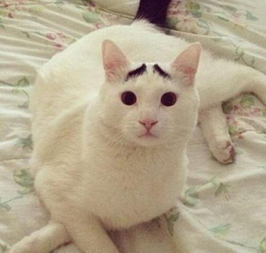 ����ü��؈ɽķ�W�j���t��������؈��ü��Ę���u�ȇ���