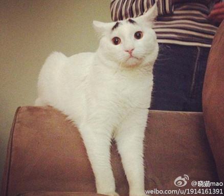 ����ü��؈ɽķ�W�j���t��������؈��ü��Ę���u�ȇ���