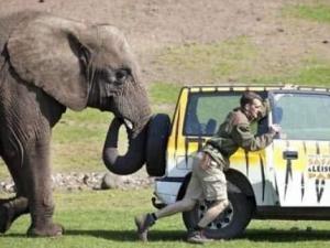 ����Ҳ���W���h ���M��܇