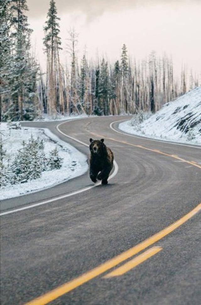 騙了全世界的著名假照片 你信過哪張?