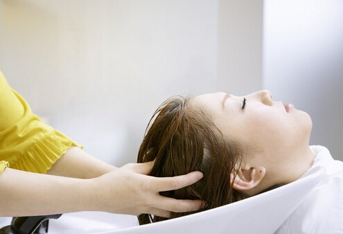 如何用側柏葉洗頭?側柏葉對脫發的功效