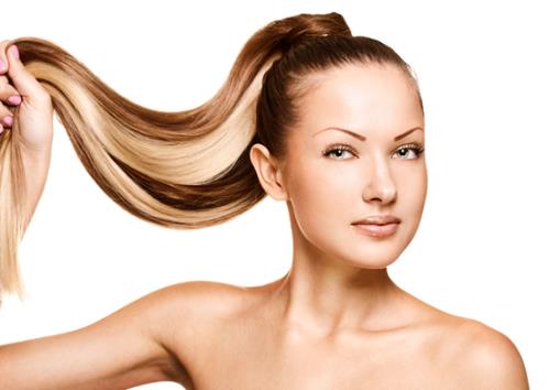 �L�����Rβ�p���Ó�l���������Rβ�p�����^