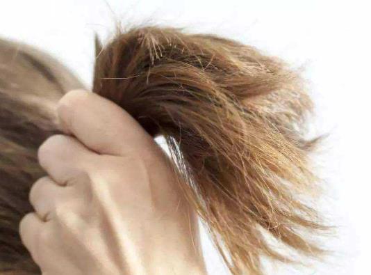 2022過年染什么顏色的頭發(fā)好?頭發(fā)沒有及時(shí)吹干為什么會(huì)油油的