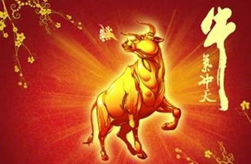 屬牛的女性本命年佩戴朱砂好嗎?屬牛的人2021年要注意什么