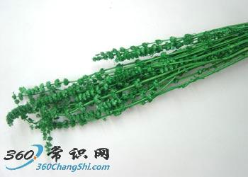 �PͲ���ί������[