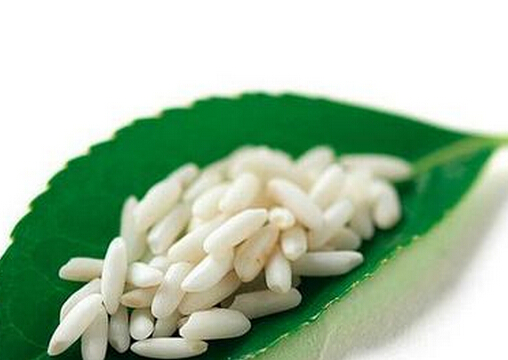 早泄吃什么好?男人多吃糯米可防治早泄