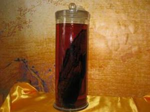 陽痿患者喝什么藥酒?男人的養腎藥酒