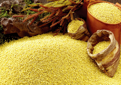 早晚喝點小米粥-男人40后養(yǎng)生須知