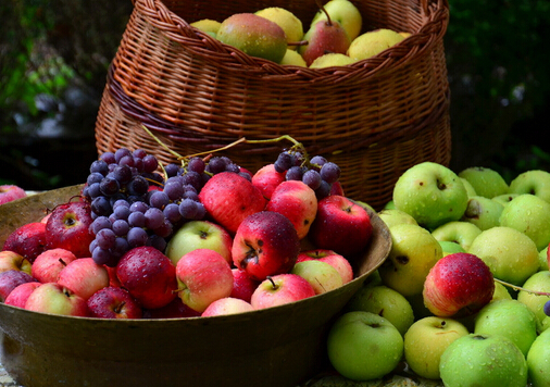 吃荔枝可治療腎虧夢遺-男人吃什么補腎養精?