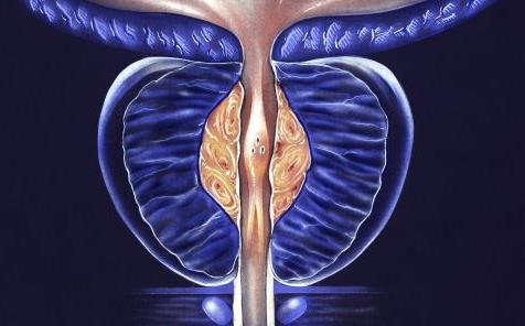 ������ǰ����������ô���£�������ǰ�����׵İY��