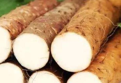 男性補腎壯陽要吃好 推薦6種補腎和壯陽的食物