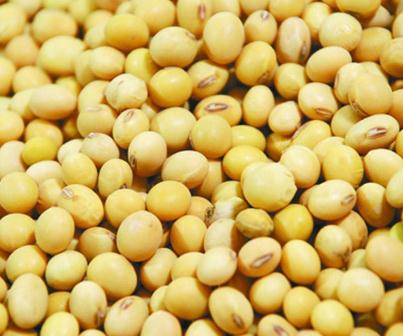 �S���{(di��o)���Ƽ���