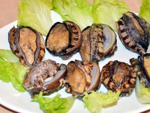 鮑魚(yú)怎么做好吃?鮑魚(yú)的家常做法