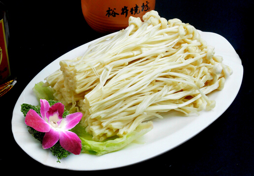 ��ᘹ�������-��ᘹ��ĠI�B(y��ng)�rֵ